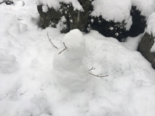 富士山温泉ホテル鐘山苑