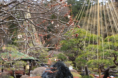 富士山温泉ホテル鐘山苑