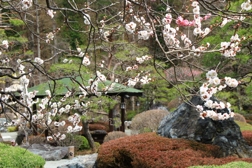 富士山温泉ホテル鐘山苑