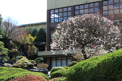 富士山温泉ホテル鐘山苑