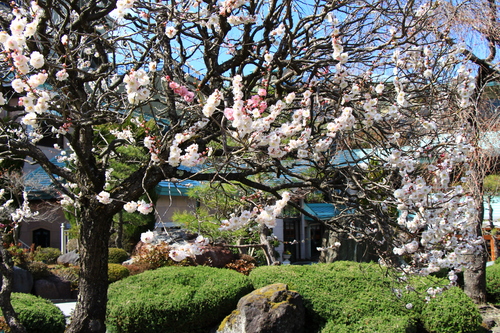 富士山温泉ホテル鐘山苑