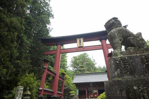 【7月開催】夏の富士山五合目散策と「北口本宮冨士浅間神社」ミニバスツアー