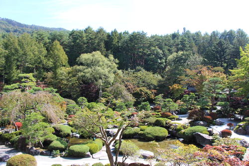 庭園の紅葉情報No.2｜富士山温泉ホテル鐘山苑