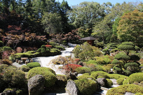 庭園の紅葉情報No.1｜富士山温泉ホテル鐘山苑