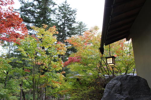 庭園の紅葉情報No.4｜富士山温泉ホテル鐘山苑