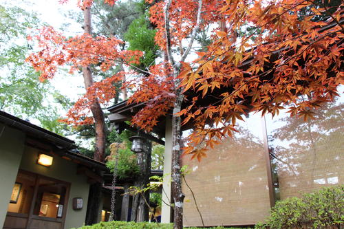 庭園の紅葉情報No.5｜富士山温泉ホテル鐘山苑