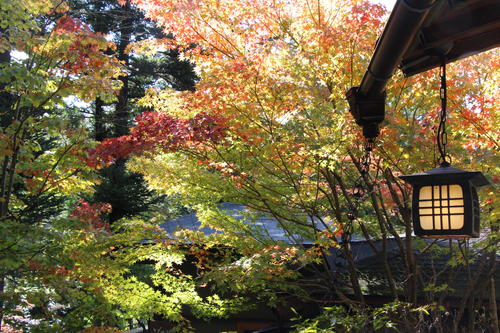 庭園の紅葉情報No.6｜富士山温泉ホテル鐘山苑