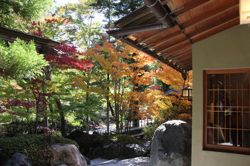 庭園の紅葉情報No.7｜富士山温泉ホテル鐘山苑