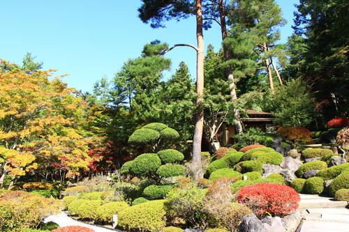 庭園の紅葉情報No.10｜富士山温泉ホテル鐘山苑