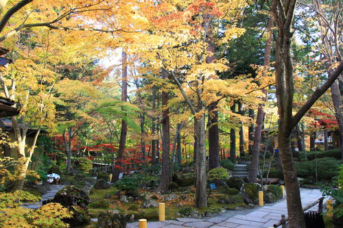 庭園の紅葉情報No.15｜富士山温泉ホテル鐘山苑