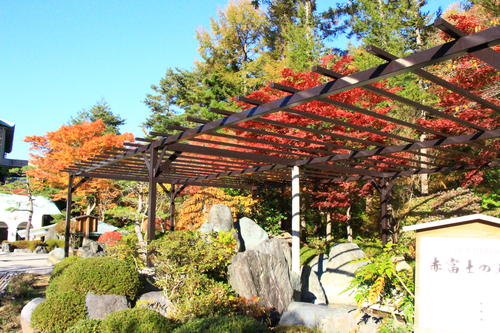 庭園の紅葉情報No.18｜富士山温泉ホテル鐘山苑