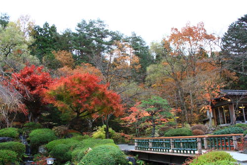 庭園の紅葉情報No.26｜富士山温泉ホテル鐘山苑