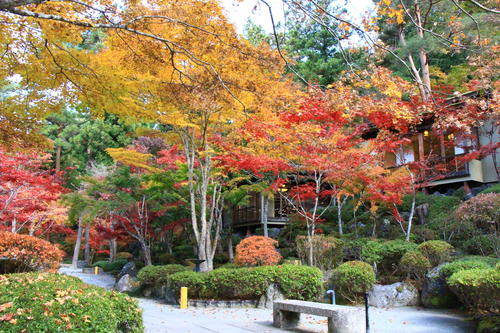 庭園の紅葉情報No.16｜富士山温泉ホテル鐘山苑