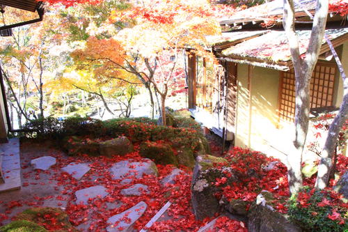 庭園の紅葉情報No.21｜富士山温泉ホテル鐘山苑