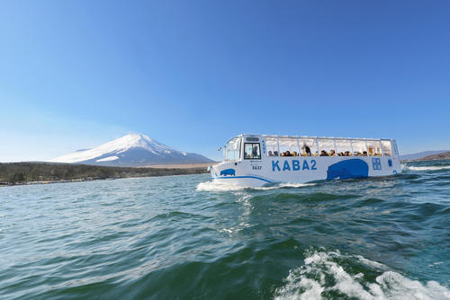 【5月開催】山中湖KABAバスと花の都公園・浅間茶屋・忍野八海をめぐる初夏のミニバスツアー