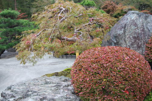 2018年庭園の紅葉情報No.5｜富士山温泉ホテル鐘山苑