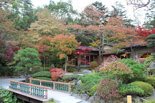 2018年庭園の紅葉情報No.12｜富士山温泉ホテル鐘山苑