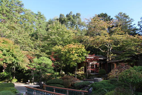 2018年庭園の紅葉情報No.3｜富士山温泉ホテル鐘山苑