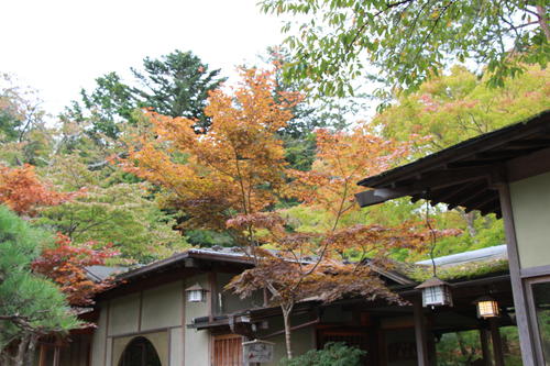 2018年庭園の紅葉情報No.4｜富士山温泉ホテル鐘山苑