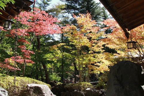 2018年庭園の紅葉情報No.9｜富士山温泉ホテル鐘山苑