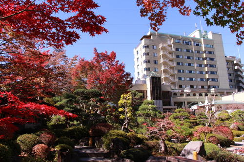 2018年庭園の紅葉情報No.14｜富士山温泉ホテル鐘山苑