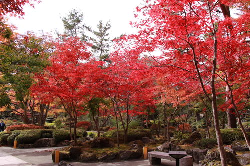 2018年庭園の紅葉情報No.15｜富士山温泉ホテル鐘山苑