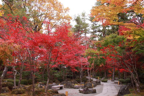 2018年庭園の紅葉情報No.17｜富士山温泉ホテル鐘山苑