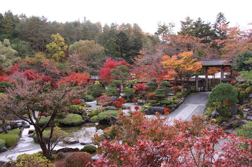 2018年庭園の紅葉情報No.18｜富士山温泉ホテル鐘山苑