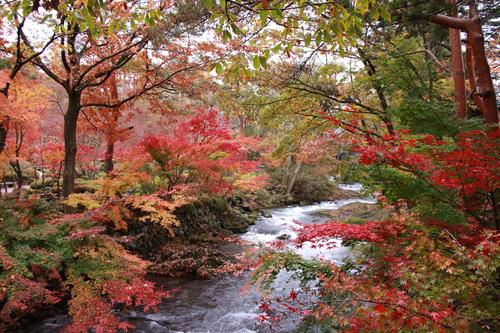 2018年庭園の紅葉情報No.21｜富士山温泉ホテル鐘山苑