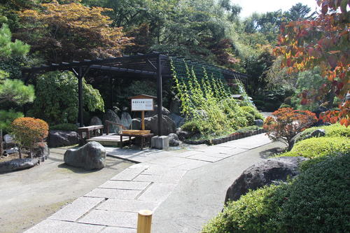 2019年庭園の紅葉情報No.2｜富士山温泉ホテル鐘山苑