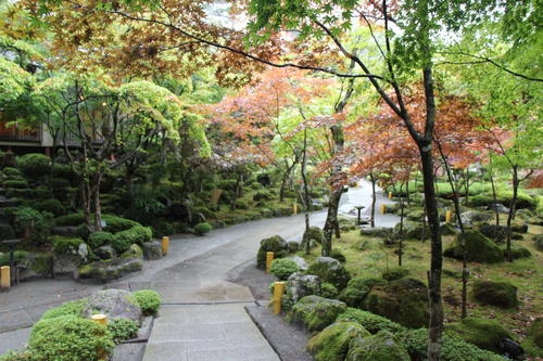 2019年庭園の紅葉情報No.4｜富士山温泉ホテル鐘山苑