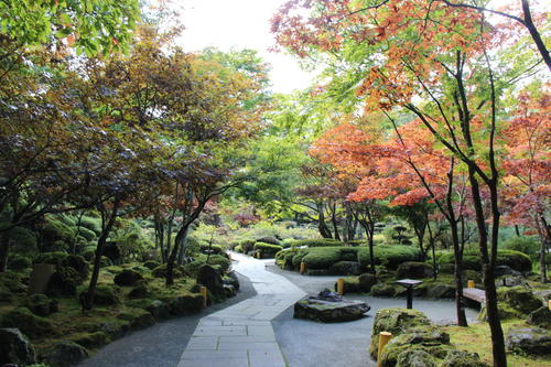 2019年庭園の紅葉情報No.5｜富士山温泉ホテル鐘山苑