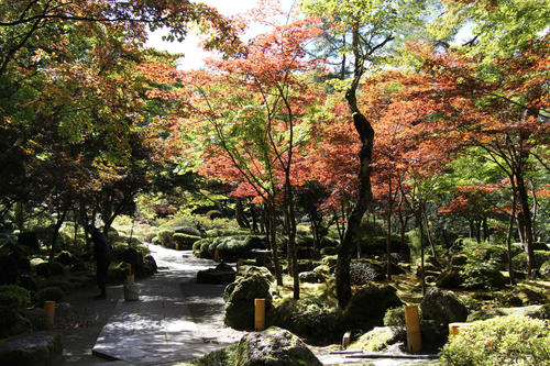 2019年庭園の紅葉情報No.6｜富士山温泉ホテル鐘山苑