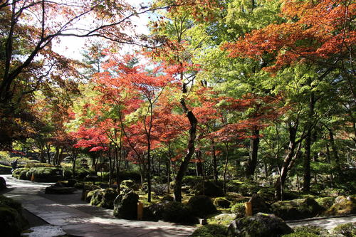 2019年庭園の紅葉情報No.9｜富士山温泉ホテル鐘山苑