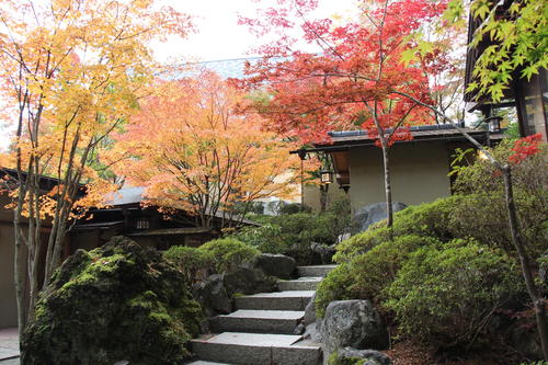 2019年庭園の紅葉情報No.11｜富士山温泉ホテル鐘山苑