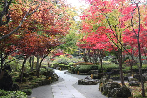 2019年庭園の紅葉情報No.12｜富士山温泉ホテル鐘山苑