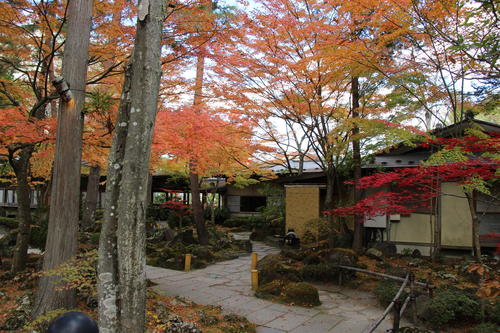 2019年庭園の紅葉情報No.16｜富士山温泉ホテル鐘山苑