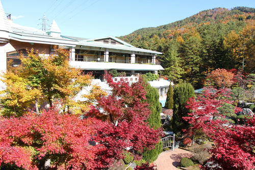 2019年庭園の紅葉情報No.22｜富士山温泉ホテル鐘山苑