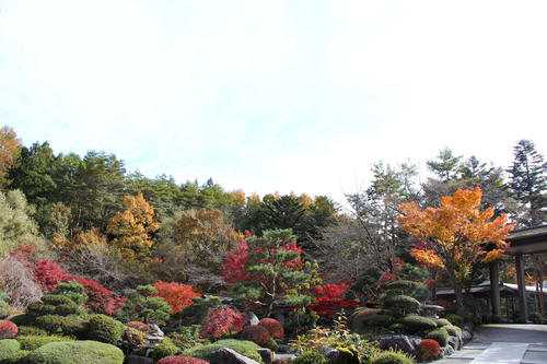 2019年庭園の紅葉情報 最終｜富士山温泉ホテル鐘山苑