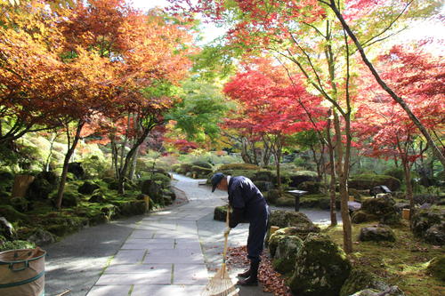 2020年庭園の紅葉情報No.4