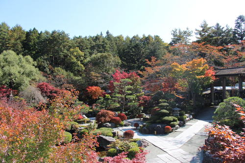 2020年庭園の紅葉情報No.6