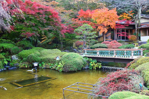 2020年庭園の紅葉情報No.7