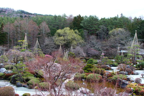 2021年庭園の梅・桜開花情報№7