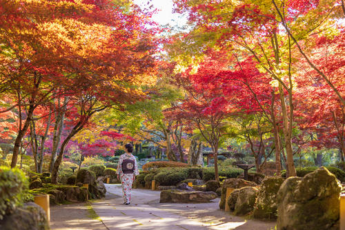 2023鐘山苑・紅葉祭り<br>11月1日（水）～11月7日（火）