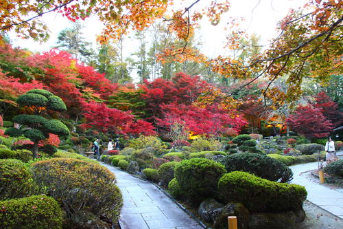 2023年庭園の紅葉情報№5