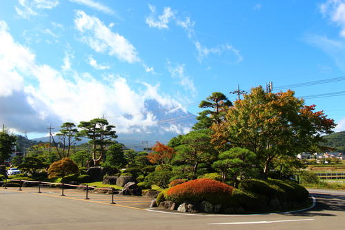 2025年庭園の紅葉情報№3