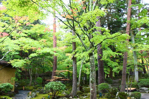 20251021teien (10).JPG