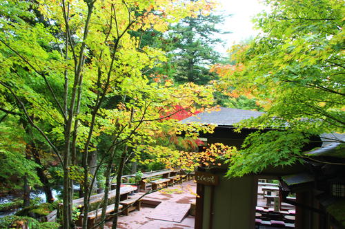 20251021teien (12).JPG