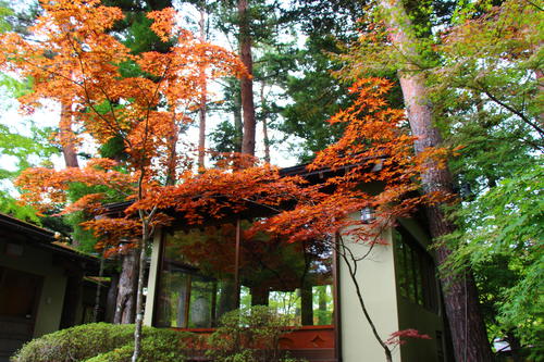 20251021teien (14).JPG