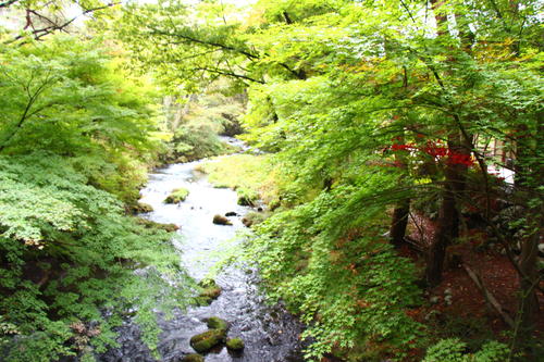 20251021teien (15).JPG